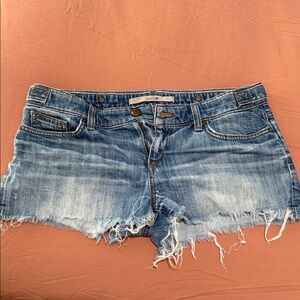 Joe's Jeans Frayed Blue Jean Shorts